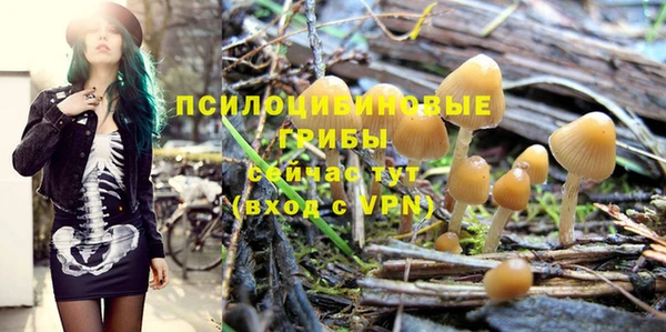 твердый Гусиноозёрск