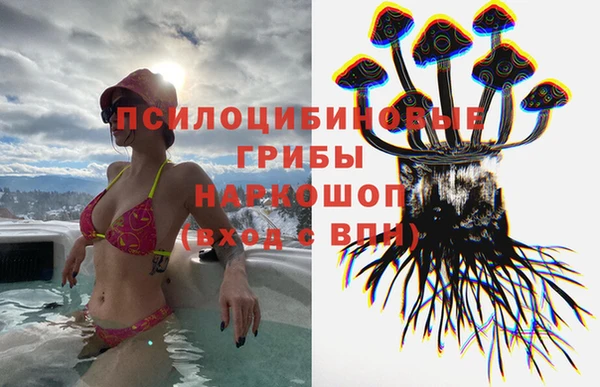 твердый Гусиноозёрск