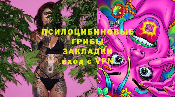 2c-b Гусь-Хрустальный