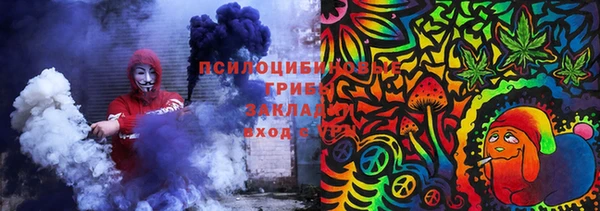 2c-b Гусь-Хрустальный