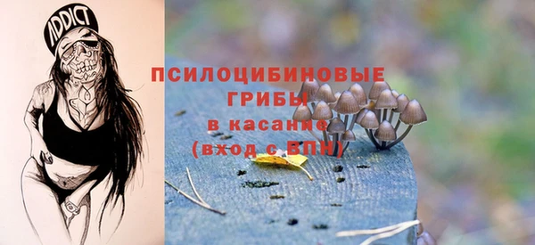 твердый Гусиноозёрск